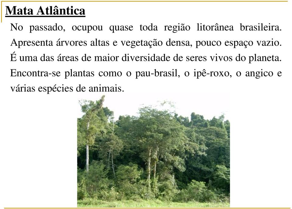 É uma das áreas de maior diversidade de seres vivos do planeta.