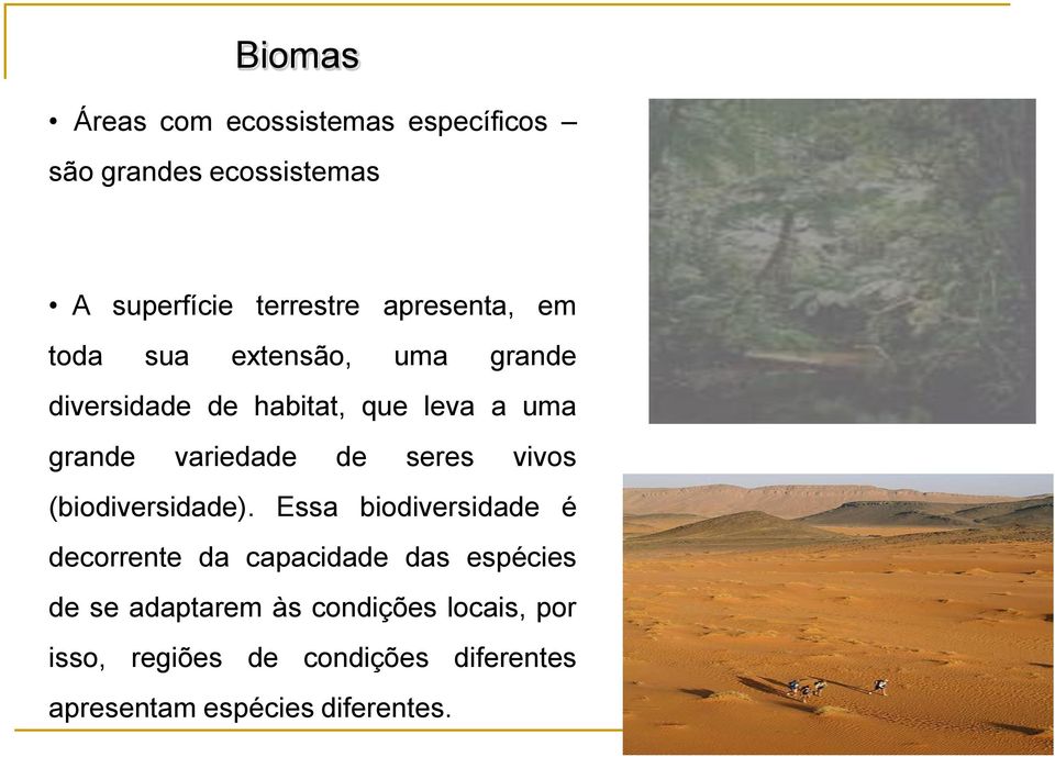 variedade de seres vivos (biodiversidade).