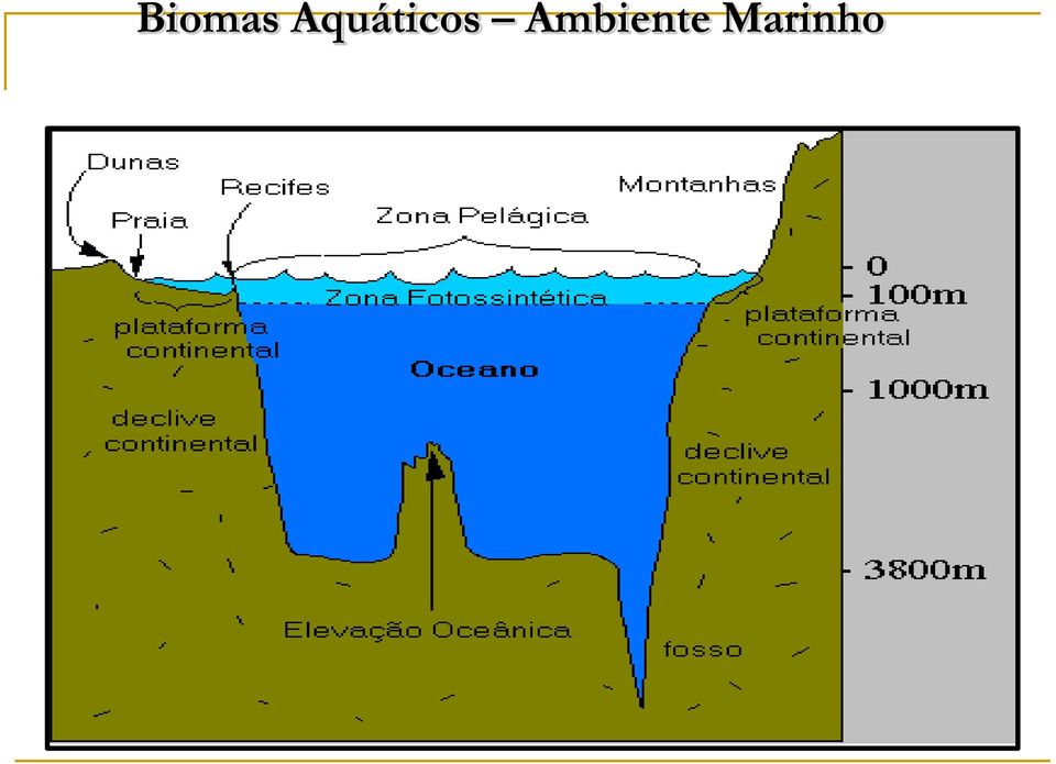 Ambiente