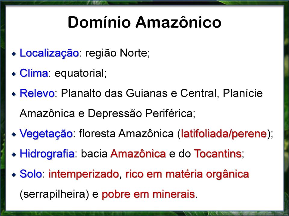 floresta Amazônica (latifoliada/perene); Hidrografia: bacia Amazônica e do
