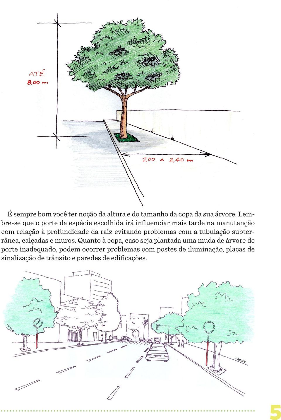 da raiz evitando problemas com a tubulação subterrânea, calçadas e muros.