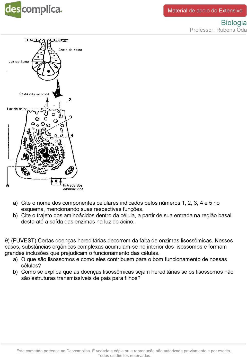 9) (FUVEST) Certas doenças hereditárias decorrem da falta de enzimas lisossômicas.