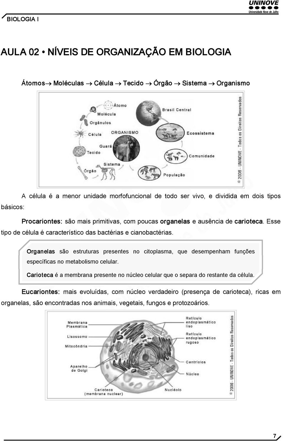 Organelas são estruturas presentes no citoplasma, que desempenham funções específicas no metabolismo celular.