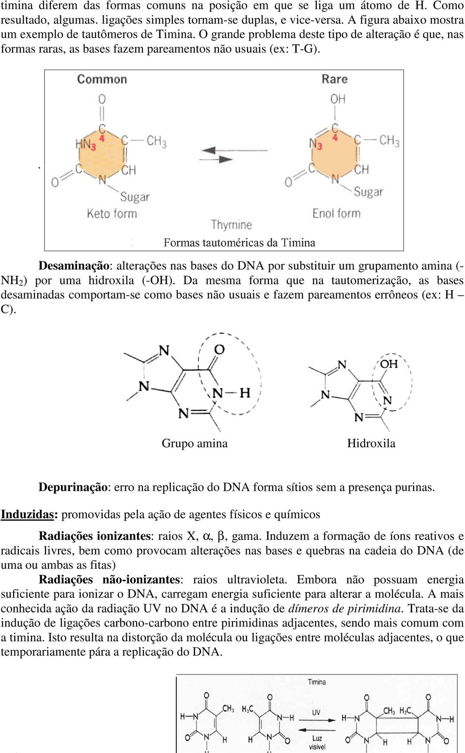 . Desaminação: alterações nas bases do DNA por substituir um grupamento amina (- NH 2 ) por uma hidroxila (-OH).