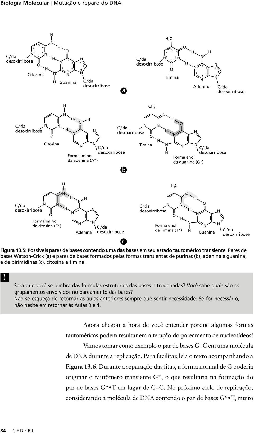 ! Será que você se lembra das fórmulas estruturais das bases nitrogenadas? Você sabe quais são os grupamentos envolvidos no pareamento das bases?