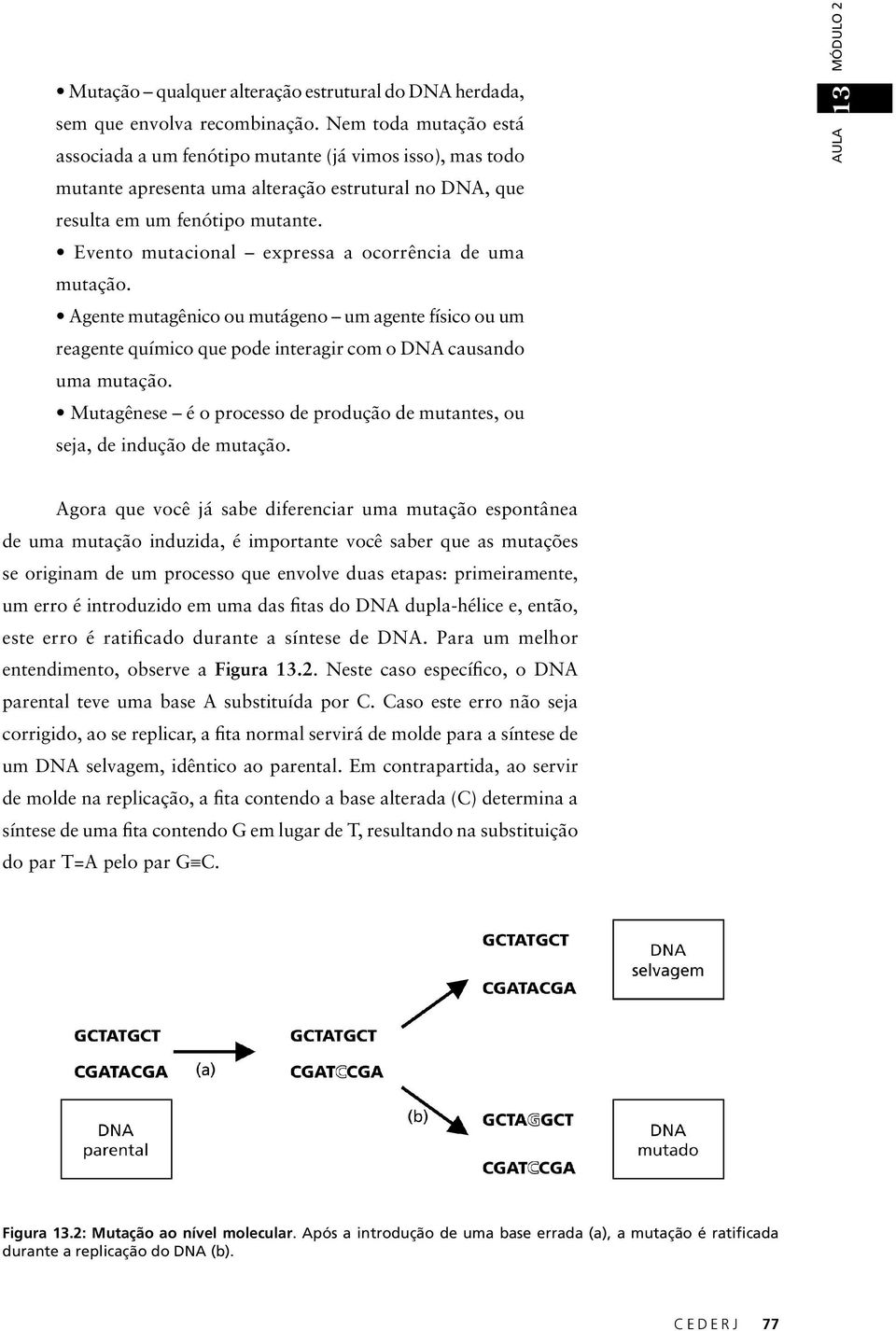 Evento mutacional expressa a ocorrência de uma mutação. Agente mutagênico ou mutágeno um agente físico ou um reagente químico que pode interagir com o DNA causando uma mutação.