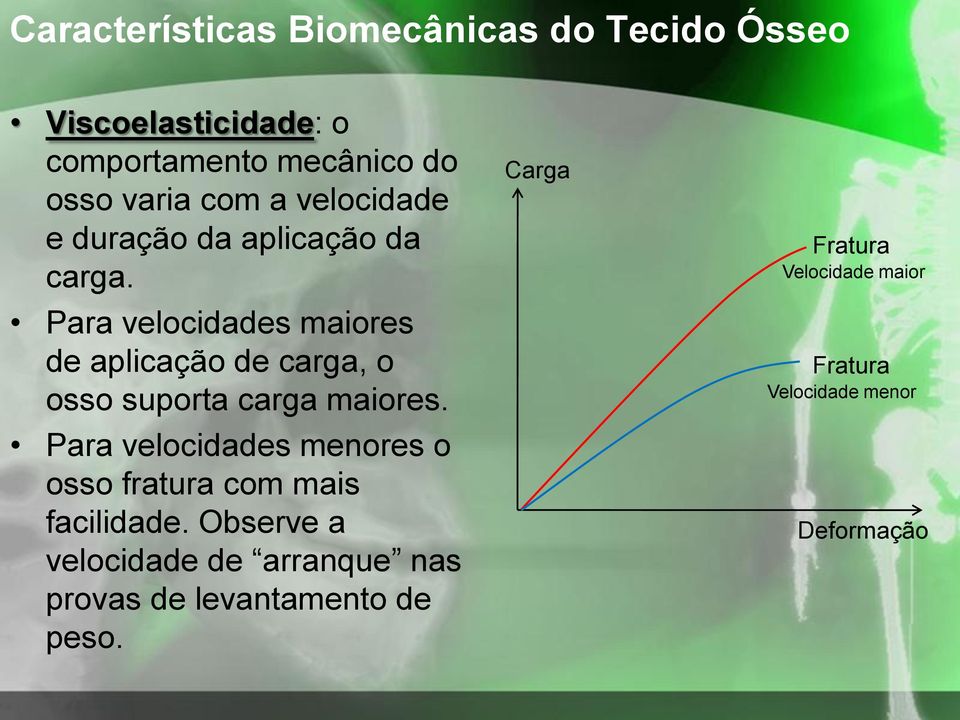 Para velocidades maiores de aplicação de carga, o osso suporta carga maiores.