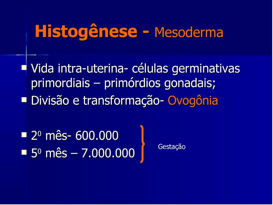 gonadais; Divisão e transformação- Ovogônia