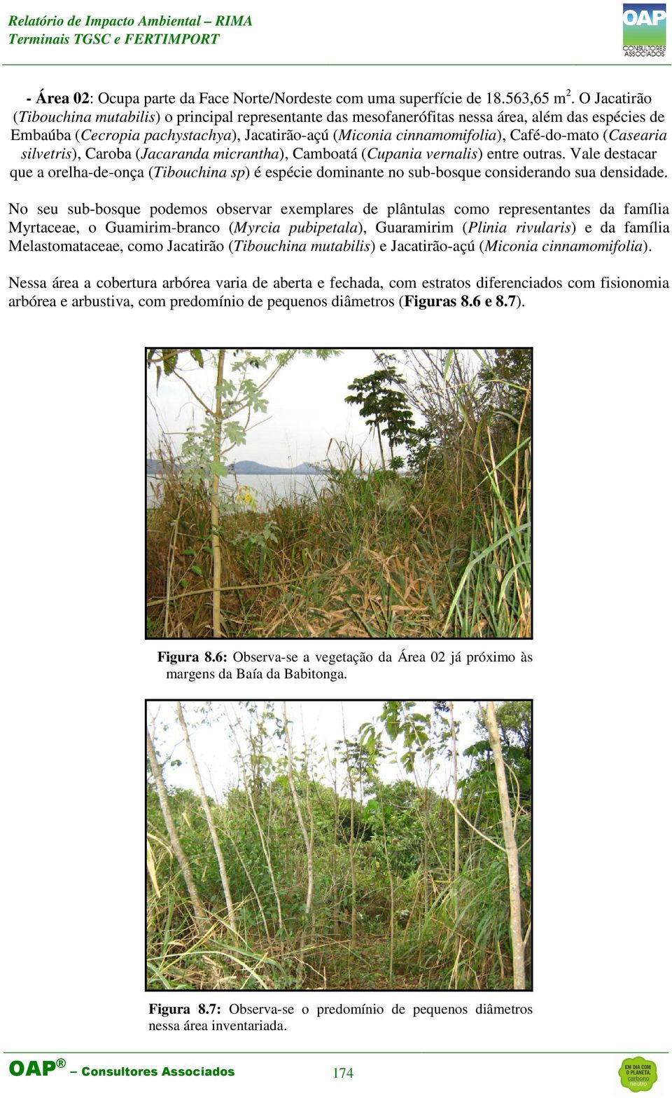 (Casearia silvetris), Caroba (Jacaranda micrantha), Camboatá (Cupania vernalis) entre outras.