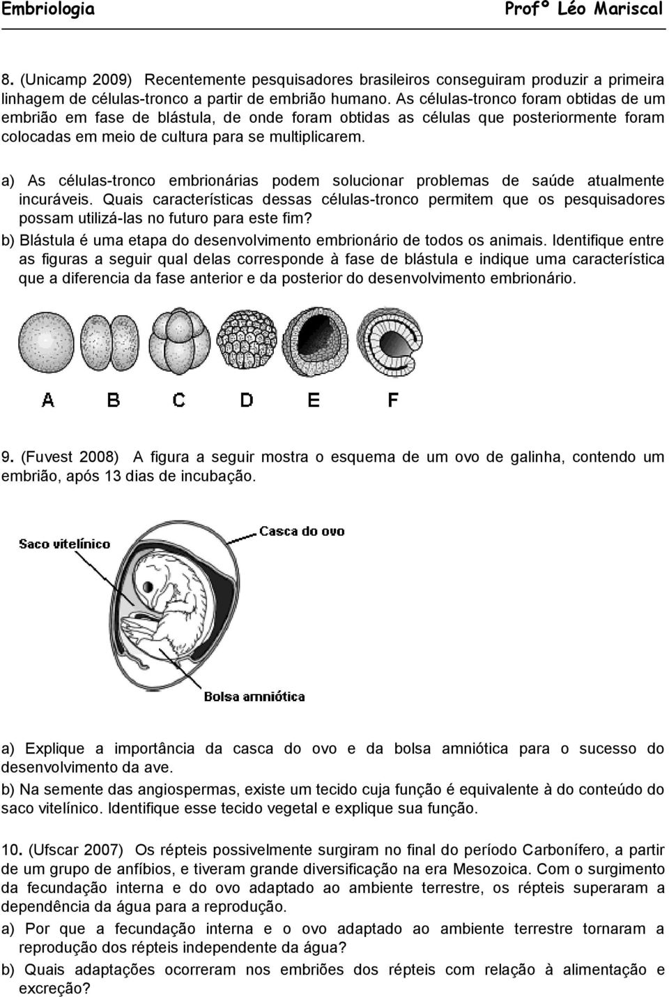 a) As células-tronco embrionárias podem solucionar problemas de saúde atualmente incuráveis.