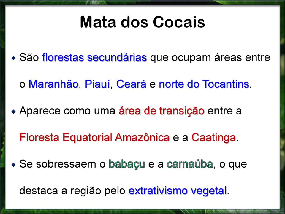 Aparece como uma área de transição entre a Floresta Equatorial