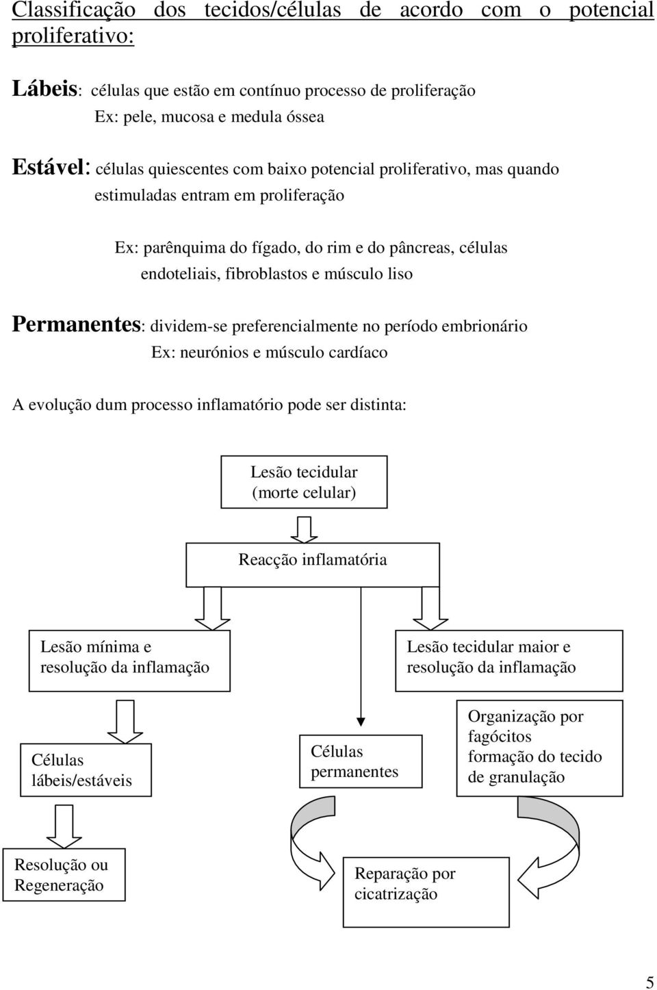 dividem-se preferencialmente no período embrionário Ex: neurónios e músculo cardíaco A evolução dum processo inflamatório pode ser distinta: Lesão tecidular (morte celular) Reacção inflamatória Lesão