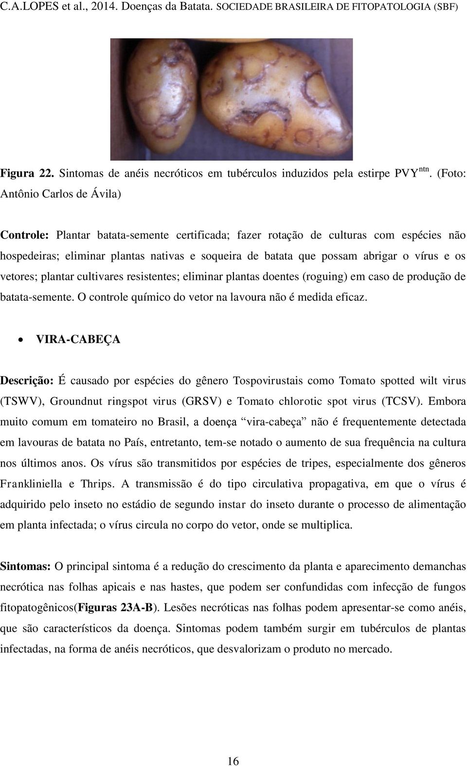 o vírus e os vetores; plantar cultivares resistentes; eliminar plantas doentes (roguing) em caso de produção de batata-semente. O controle químico do vetor na lavoura não é medida eficaz.