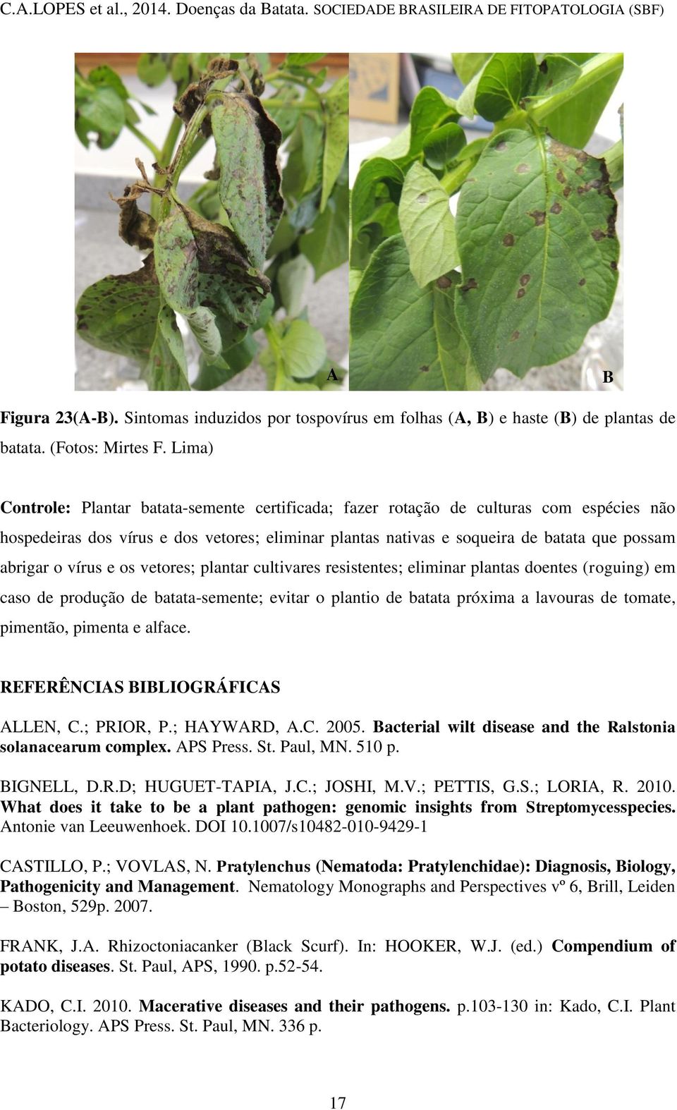 vírus e os vetores; plantar cultivares resistentes; eliminar plantas doentes (roguing) em caso de produção de batata-semente; evitar o plantio de batata próxima a lavouras de tomate, pimentão,