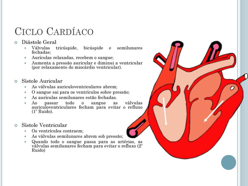 Sístole Auricular As válvulas auriculoventriculares abrem; O sangue sai para os ventrículos sobre pressão; As aurículas semilunares estão fechadas.