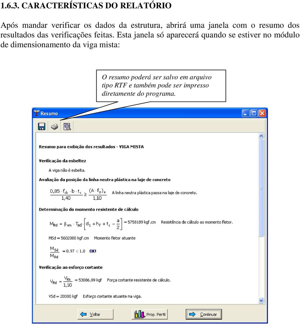 uma janela com o resumo dos resultados das verificações feitas.