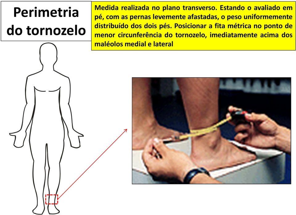 uniformemente distribuído dos dois pés.