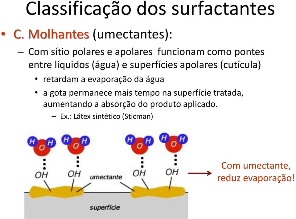 líquidos (água) e superfícies apolares (cutícula) retardam a evaporação da água a gota