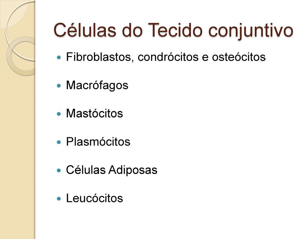 osteócitos Macrófagos Mastócitos