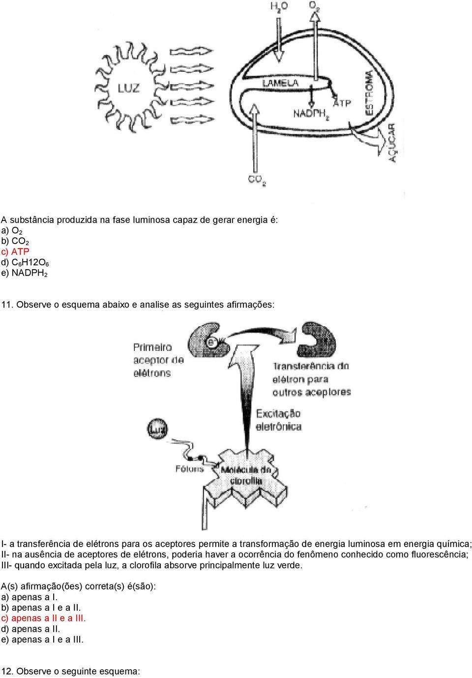 energia química; II- na ausência de aceptores de elétrons, poderia haver a ocorrência do fenômeno conhecido como fluorescência; III- quando excitada pela luz, a