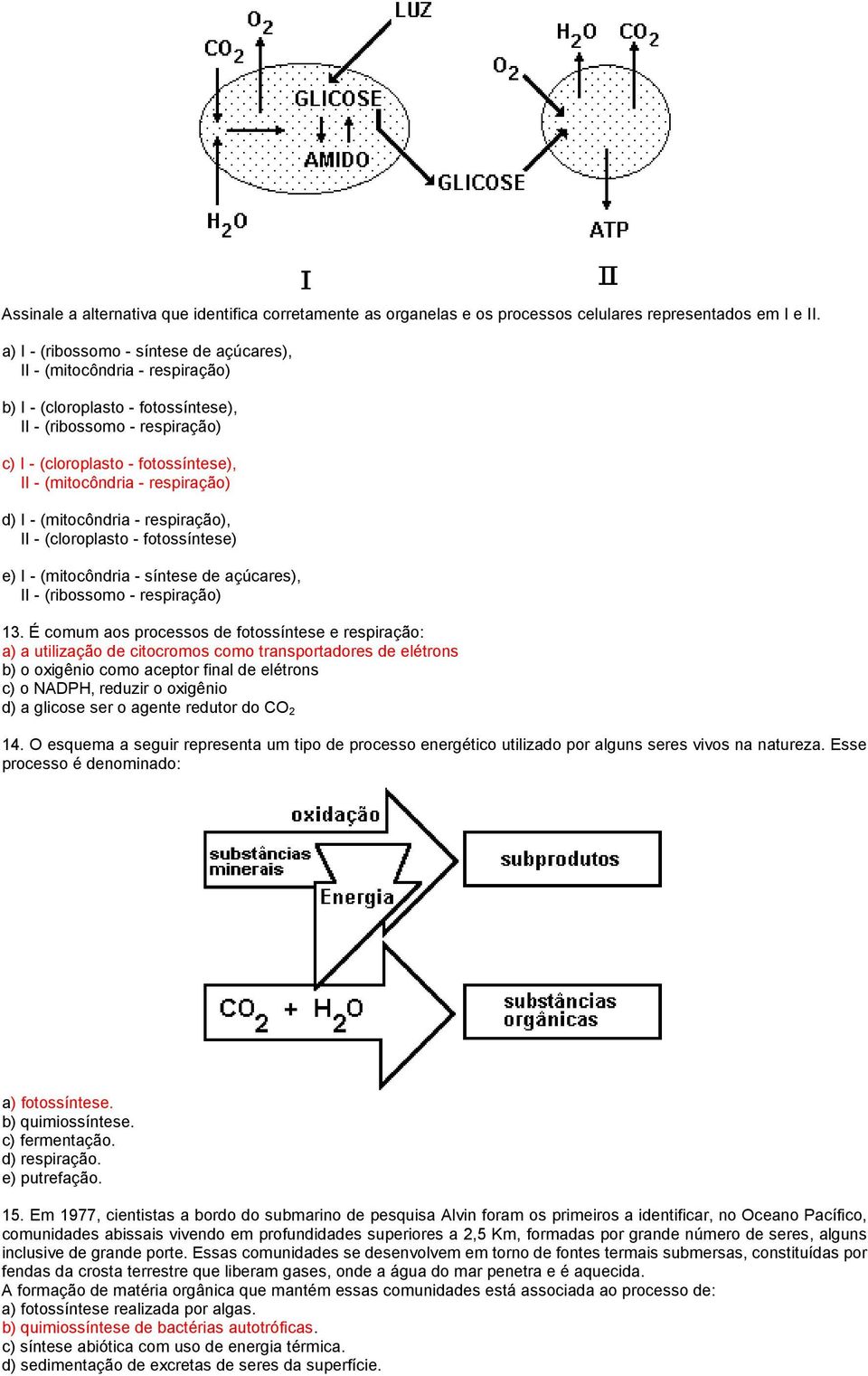 respiração) d) I - (mitocôndria - respiração), II - (cloroplasto - fotossíntese) e) I - (mitocôndria - síntese de açúcares), II - (ribossomo - respiração) 13.