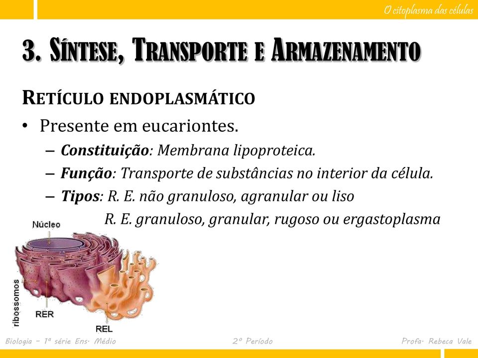 Função: Transporte de substâncias no interior da célula. Tipos: R. E.