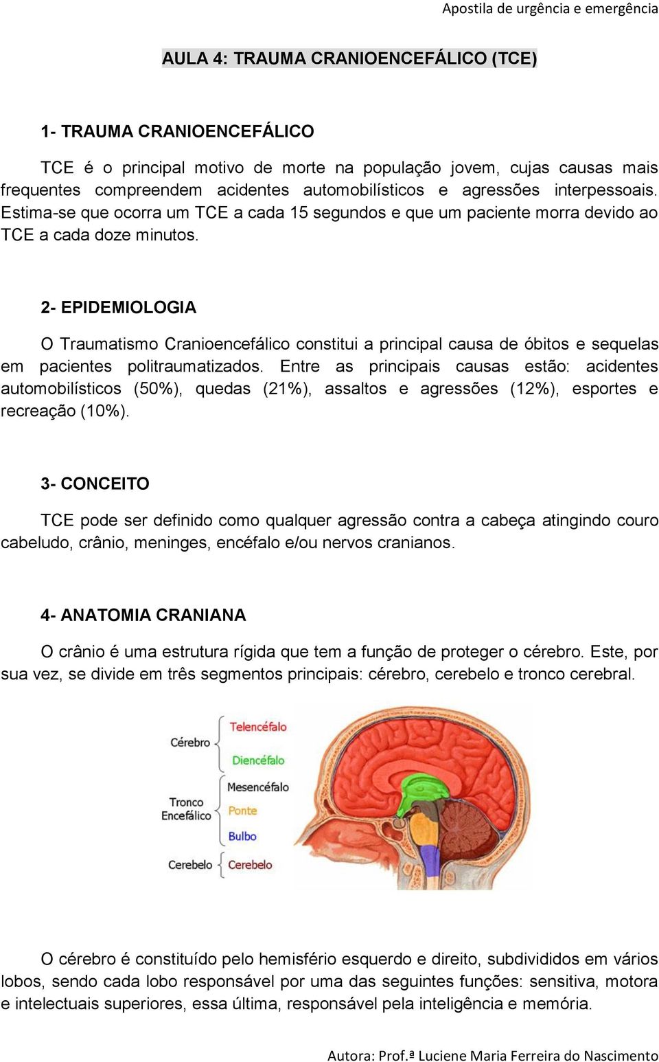2- EPIDEMIOLOGIA O Traumatismo Cranioencefálico constitui a principal causa de óbitos e sequelas em pacientes politraumatizados.