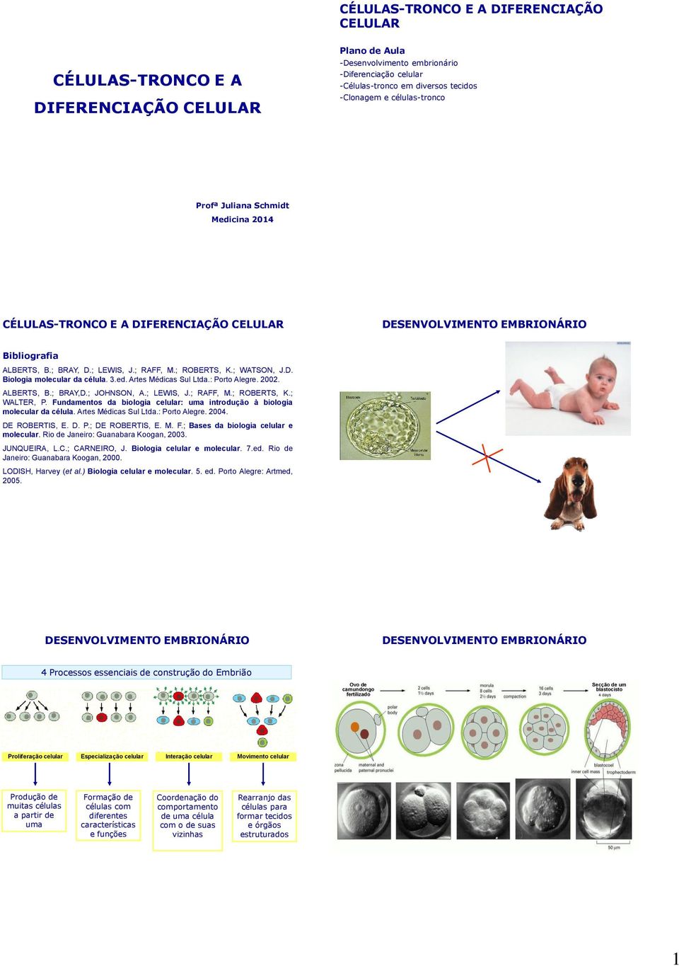 : Porto Alegre. 2002. ALBERTS, B.; BRAY,D.; JOHNSON, A.; LEWIS, J.; RAFF, M.; ROBERTS, K.; WALTER, P. Fundamentos da biologia celular: uma introdução à biologia molecular da célula.