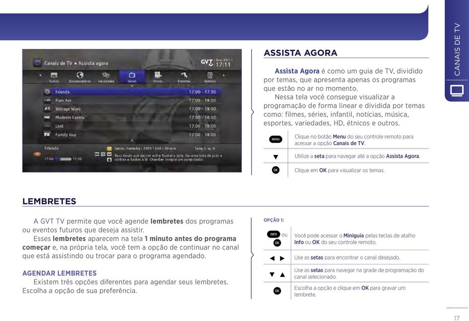 canais de tv Clique no botão Menu do seu controle remoto para acessar a opção Canais de TV. Utilize a seta para navegar até a opção Assista Agora. Clique em OK para visualizar os temas.