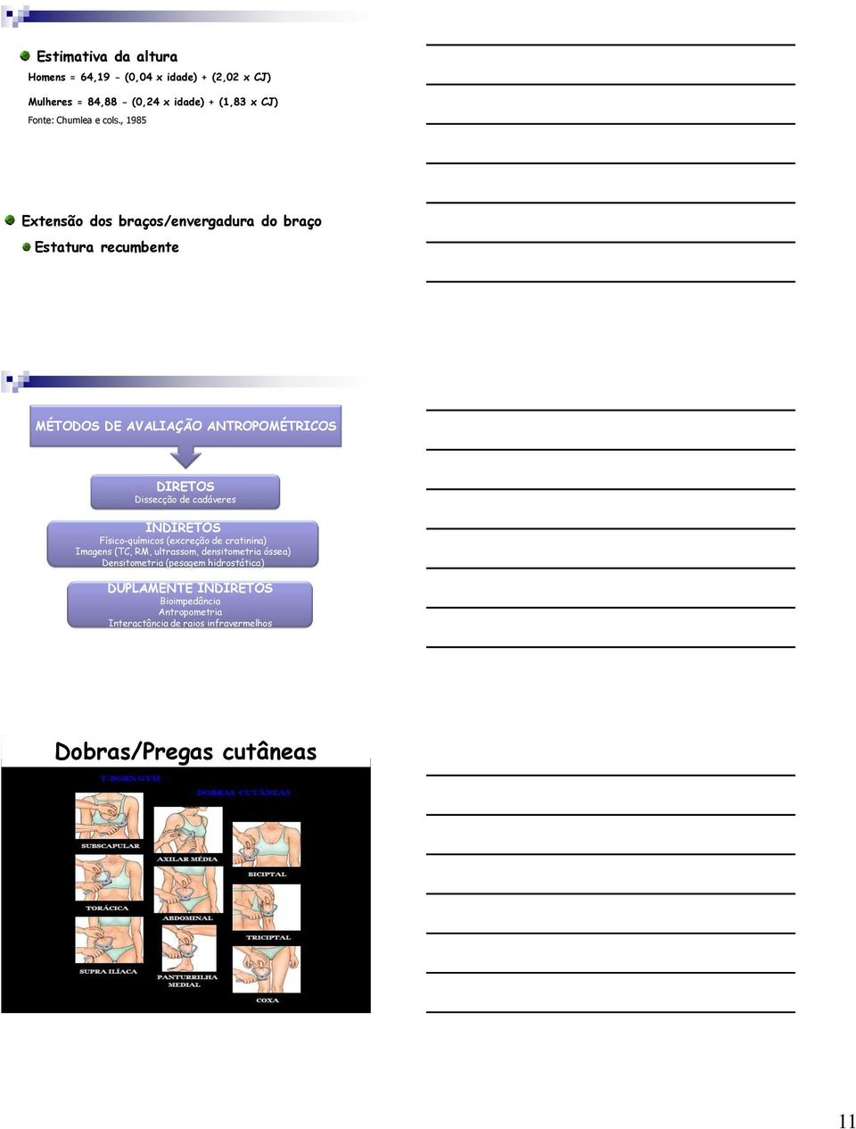 cadáveres INDIRETOS Físico-químicos (excreção de cratinina) Imagens (TC, RM, ultrassom, densitometria óssea) Densitometria (pesagem