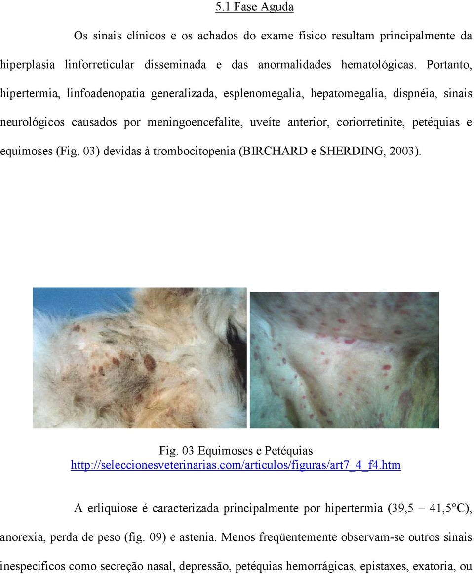 equimoses (Fig. 03) devidas à trombocitopenia (BIRCHARD e SHERDING, 2003). Fig. 03 Equimoses e Petéquias http://seleccionesveterinarias.com/articulos/figuras/art7_4_f4.