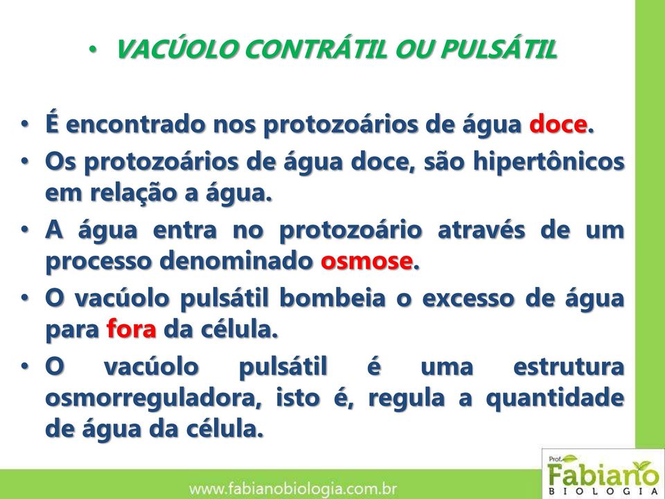 A água entra no protozoário através de um processo denominado osmose.