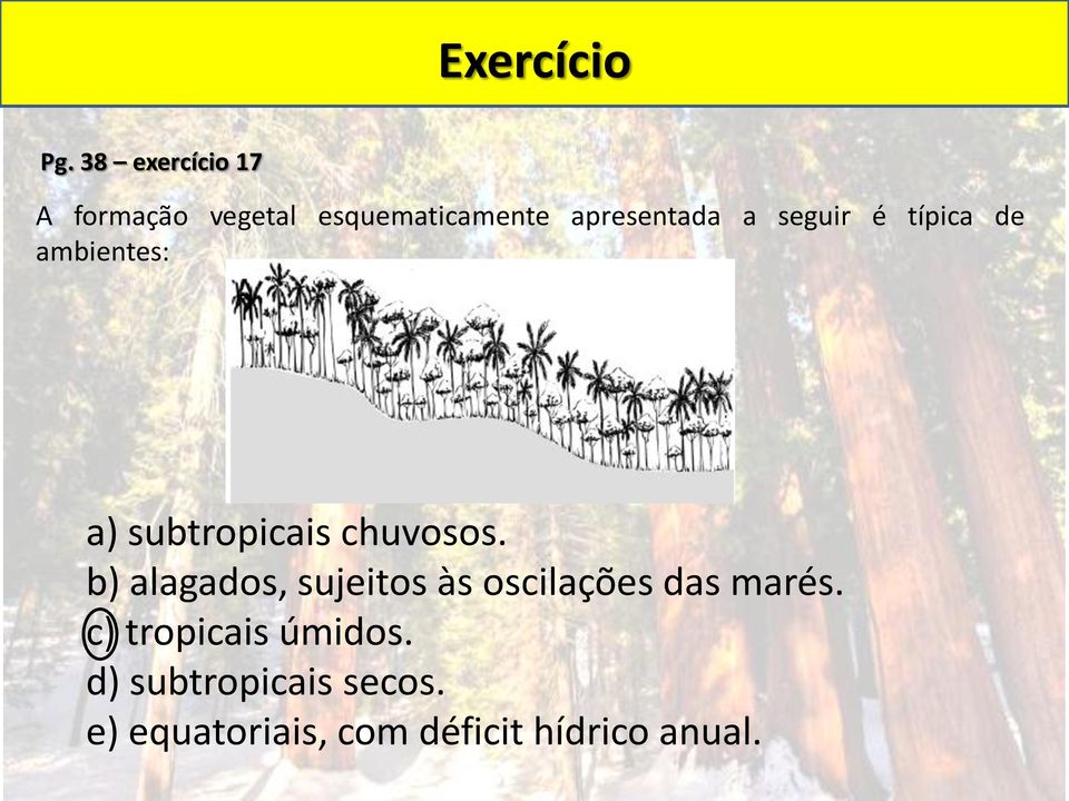 seguir é típica de ambientes: a) subtropicais chuvosos.