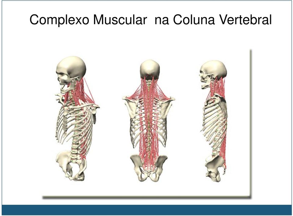 na Coluna