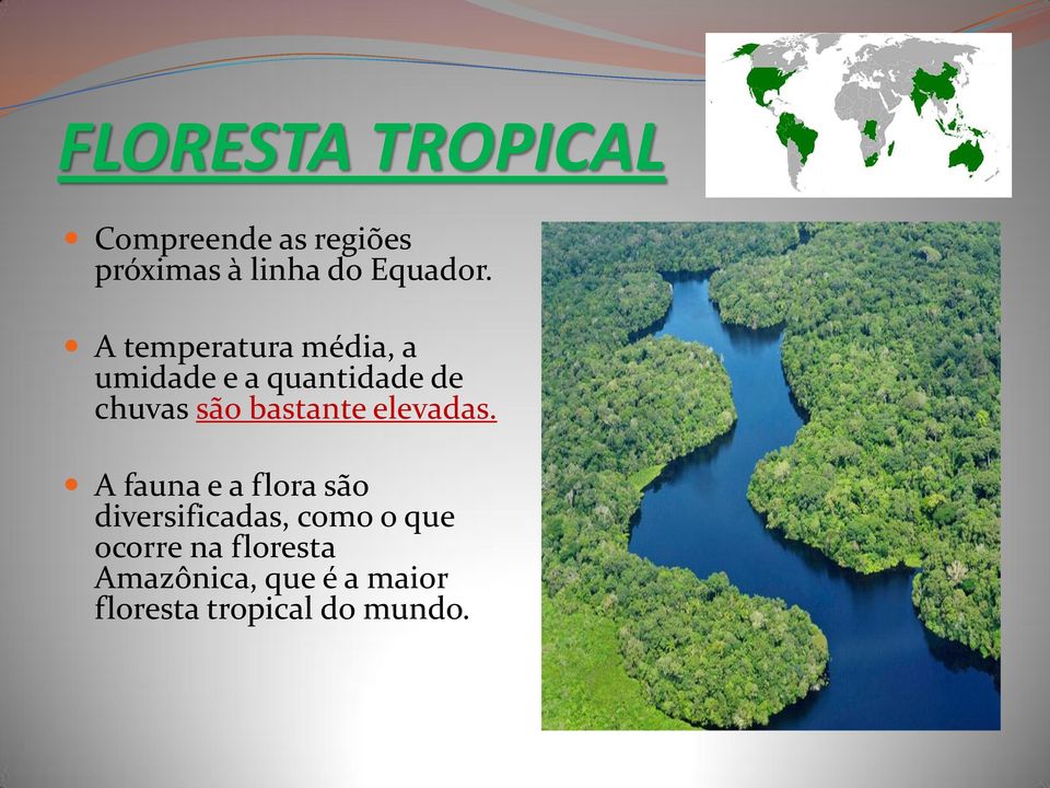 A temperatura média, a umidade e a quantidade de chuvas são