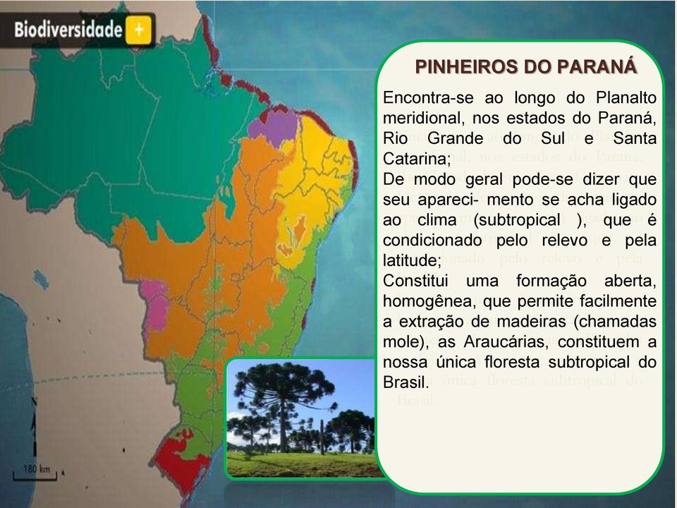 clima (subtropical pelo relevo ), que e pela é latitude; condicionado pelo relevo e pela Constitui latitude; uma formação aberta, homogênea, Constitui uma que permite formaçãofacilmente aberta, a