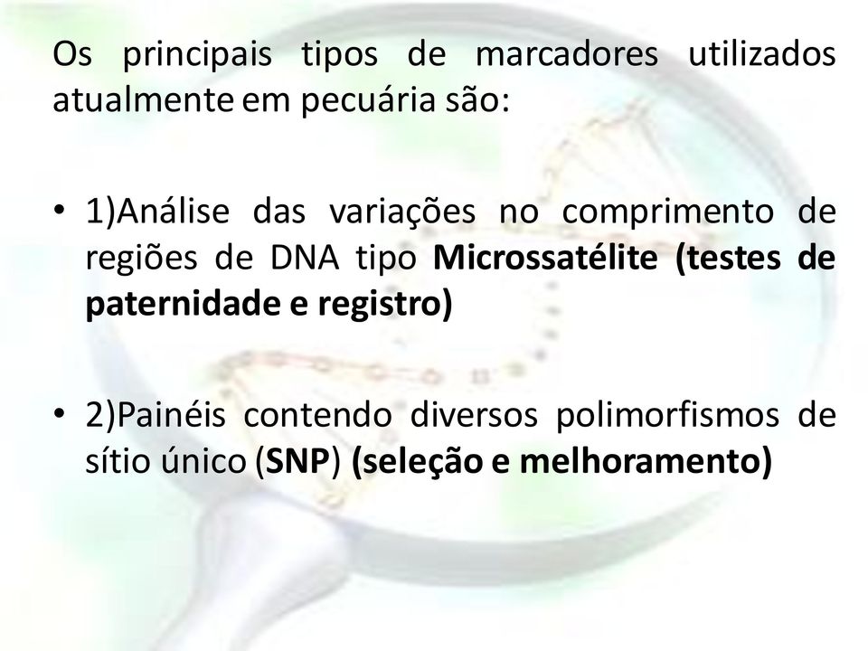 Microssatélite (testes de paternidade e registro) 2)Painéis