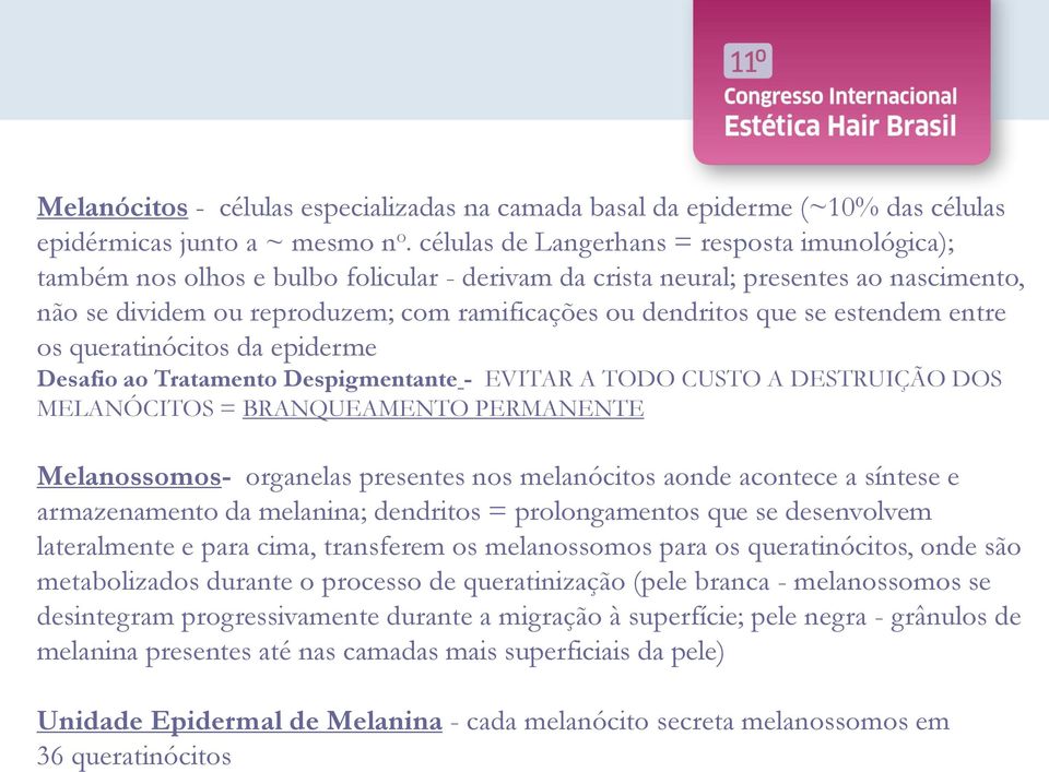 se estendem entre os queratinócitos da epiderme Desafio ao Tratamento Despigmentante - EVITAR A TODO CUSTO A DESTRUIÇÃO DOS MELANÓCITOS = BRANQUEAMENTO PERMANENTE Melanossomos- organelas presentes