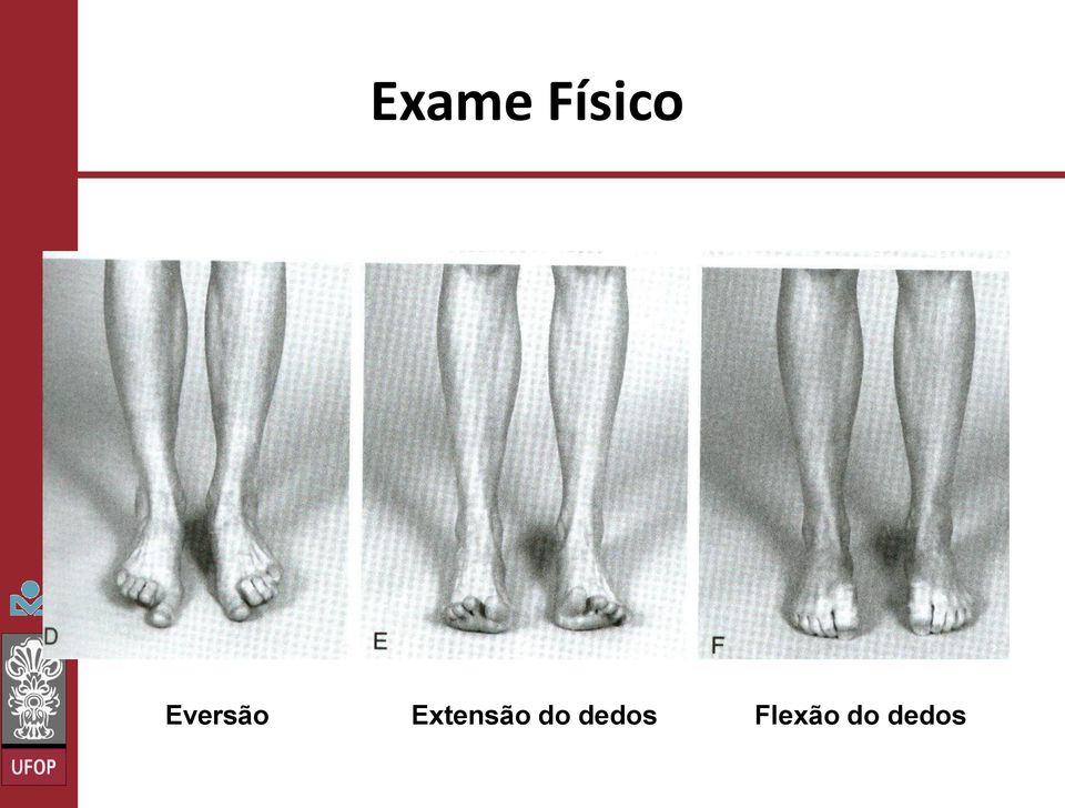 Extensão do