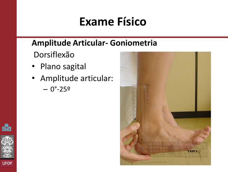 Dorsiflexão Plano