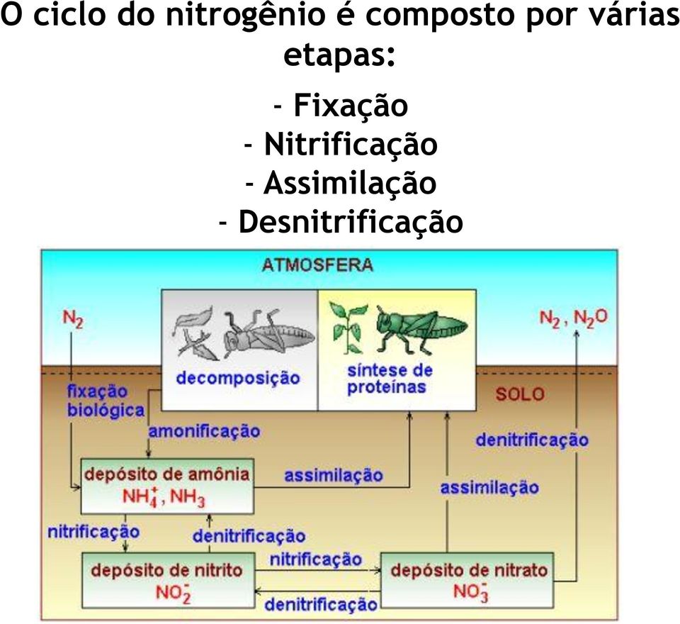 etapas: - Fixação -