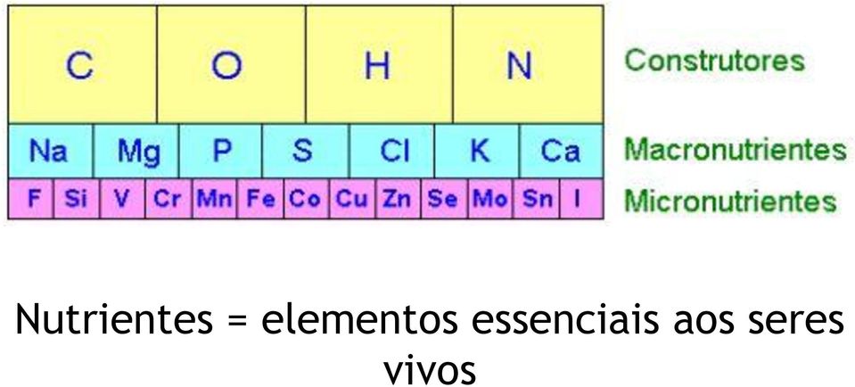 essenciais