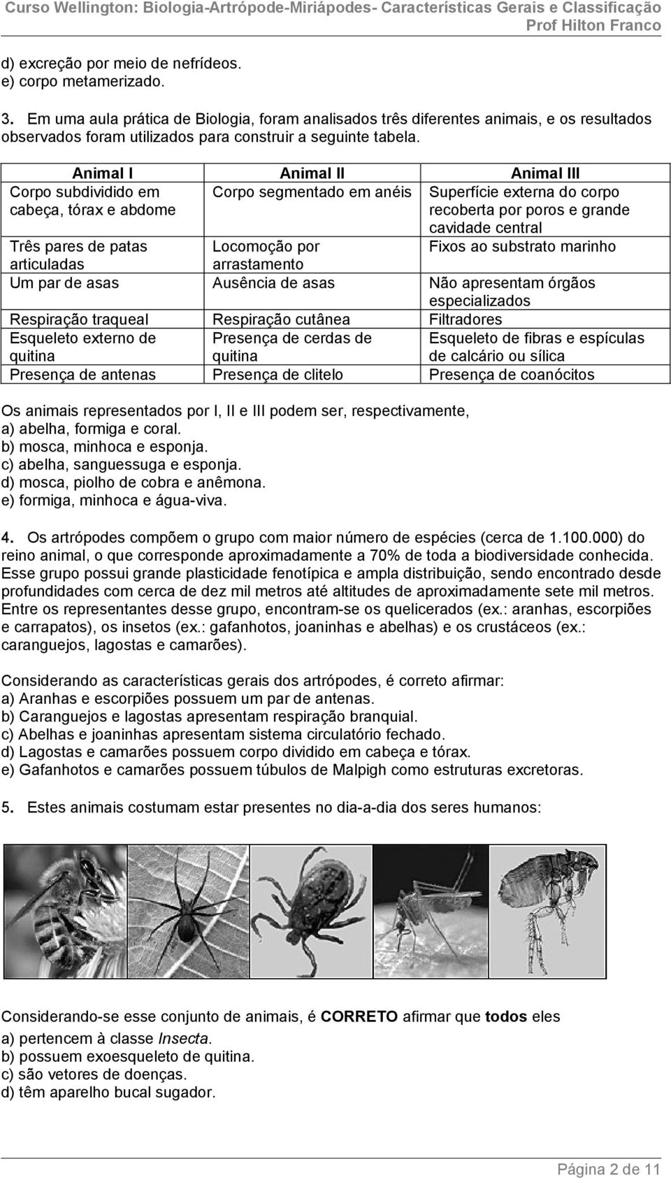 Animal I Animal II Animal III Corpo segmentado em anéis Corpo subdividido em cabeça, tórax e abdome Superfície externa do corpo recoberta por poros e grande cavidade central Três pares de patas