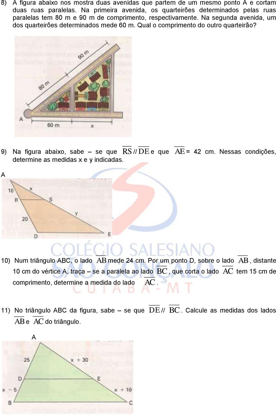 Qual o comprimento do outro quarteirão? 9) Na figura abaixo, sabe se que RS // DE e que AE = 42 cm. Nessas condições, determine as medidas x e y indicadas.