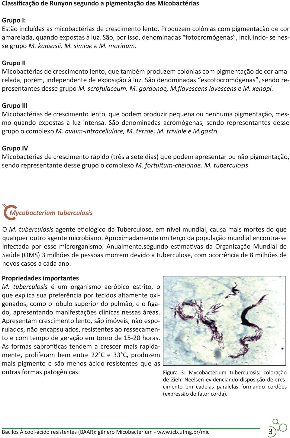 Grupo II Micobactérias de crescimento lento, que também produzem colônias com pigmentação de cor amarelada, porém, independente de exposição à luz.