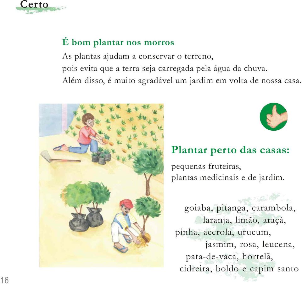 Plantar perto das casas: pequenas fruteiras, plantas medicinais e de jardim.