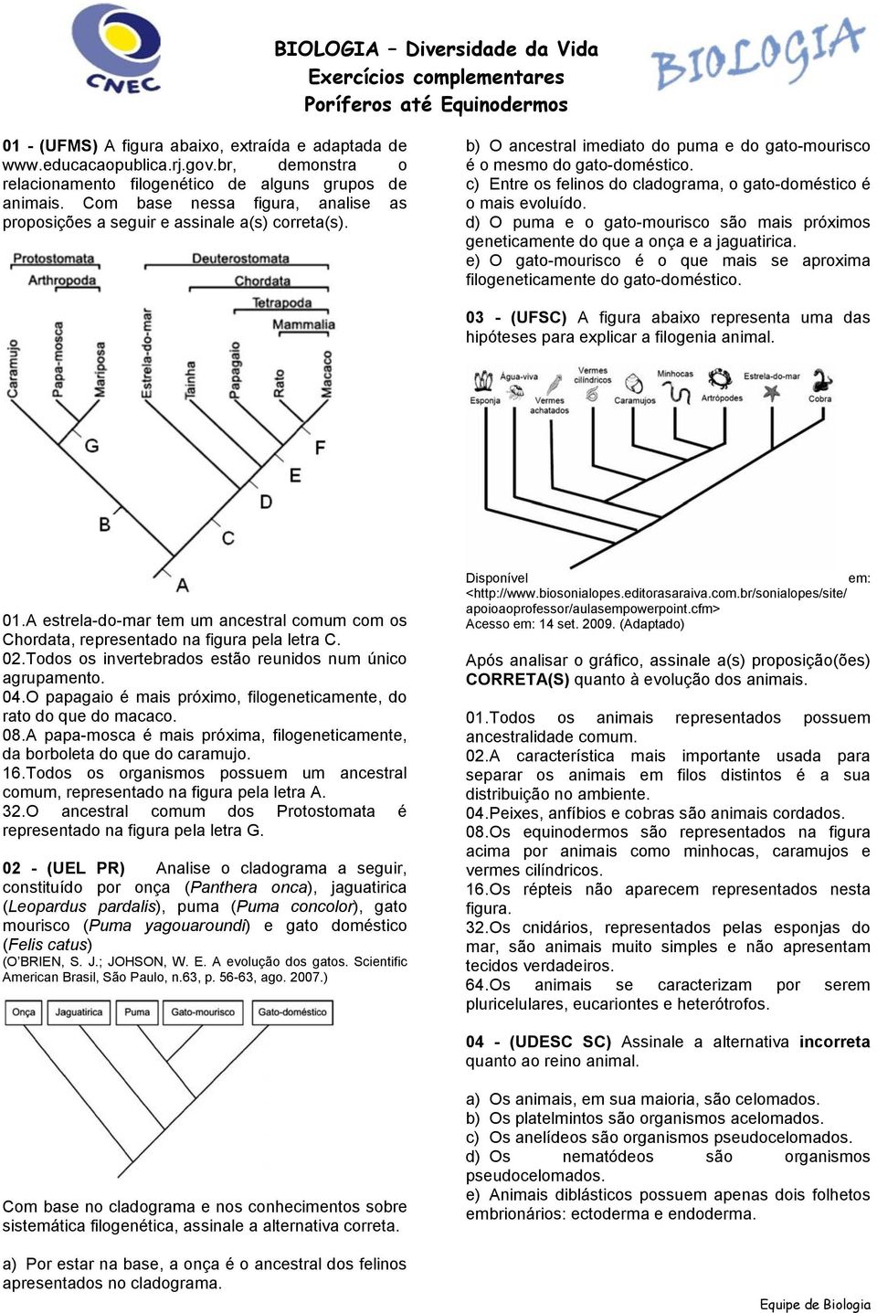 c) Entre os felinos do cladograma, o gato-doméstico é o mais evoluído. d) O puma e o gato-mourisco são mais próximos geneticamente do que a onça e a jaguatirica.