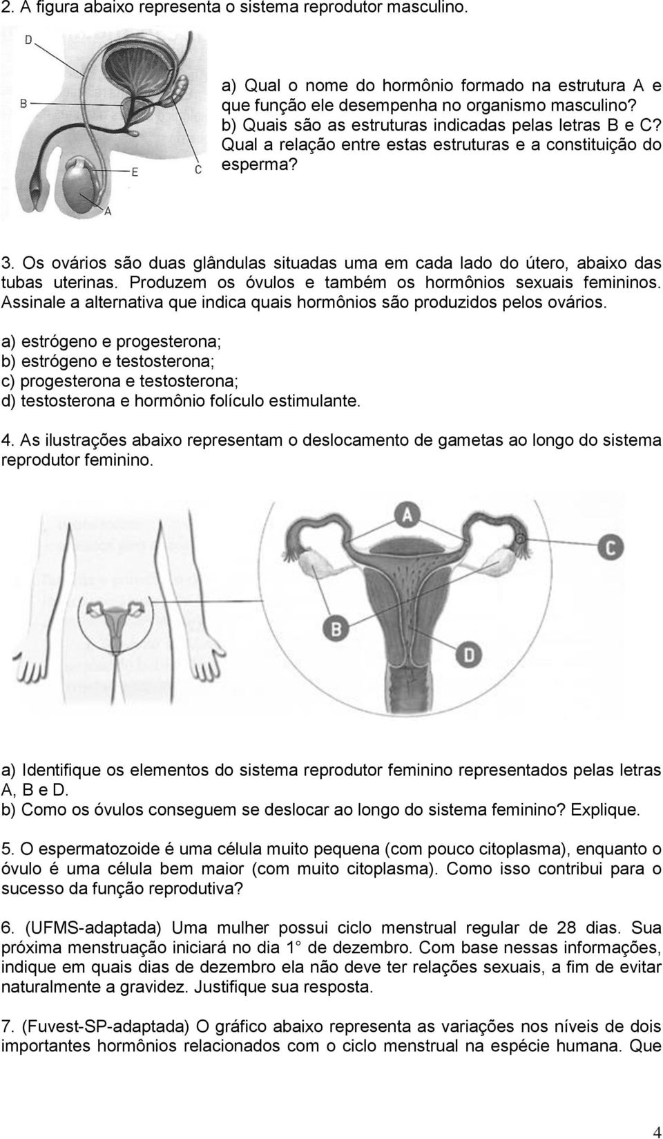 Os ovários são duas glândulas situadas uma em cada lado do útero, abaixo das tubas uterinas. Produzem os óvulos e também os hormônios sexuais femininos.