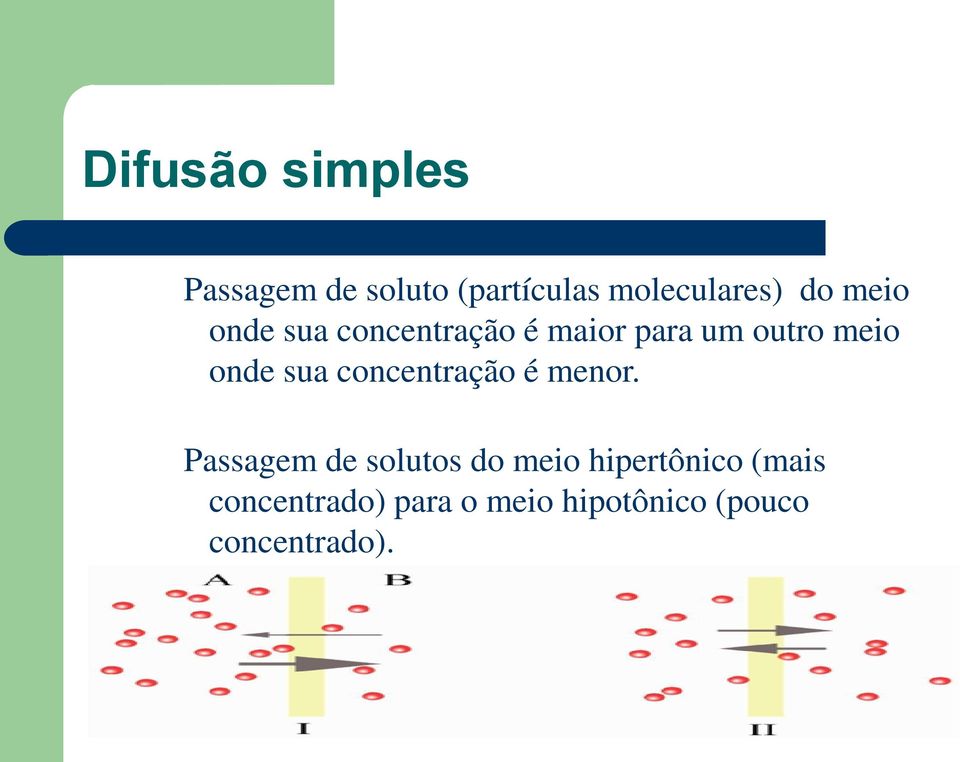 concentração é menor.