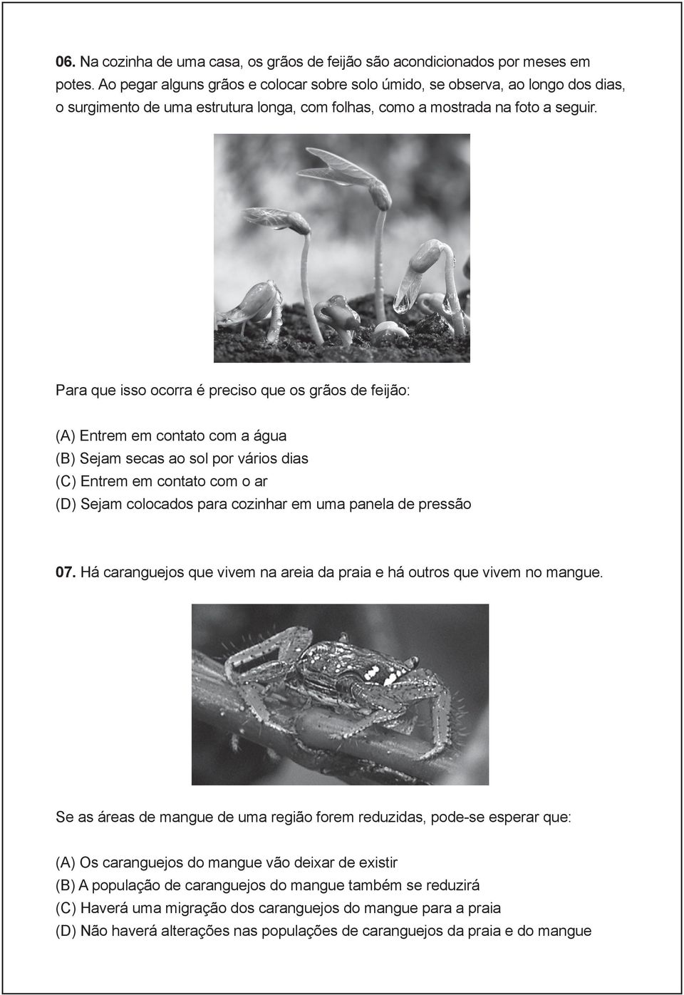 Para que isso ocorra é preciso que os grãos de feijão: (A) Entrem em contato com a água (B) Sejam secas ao sol por vários dias (C) Entrem em contato com o ar (D) Sejam colocados para cozinhar em uma